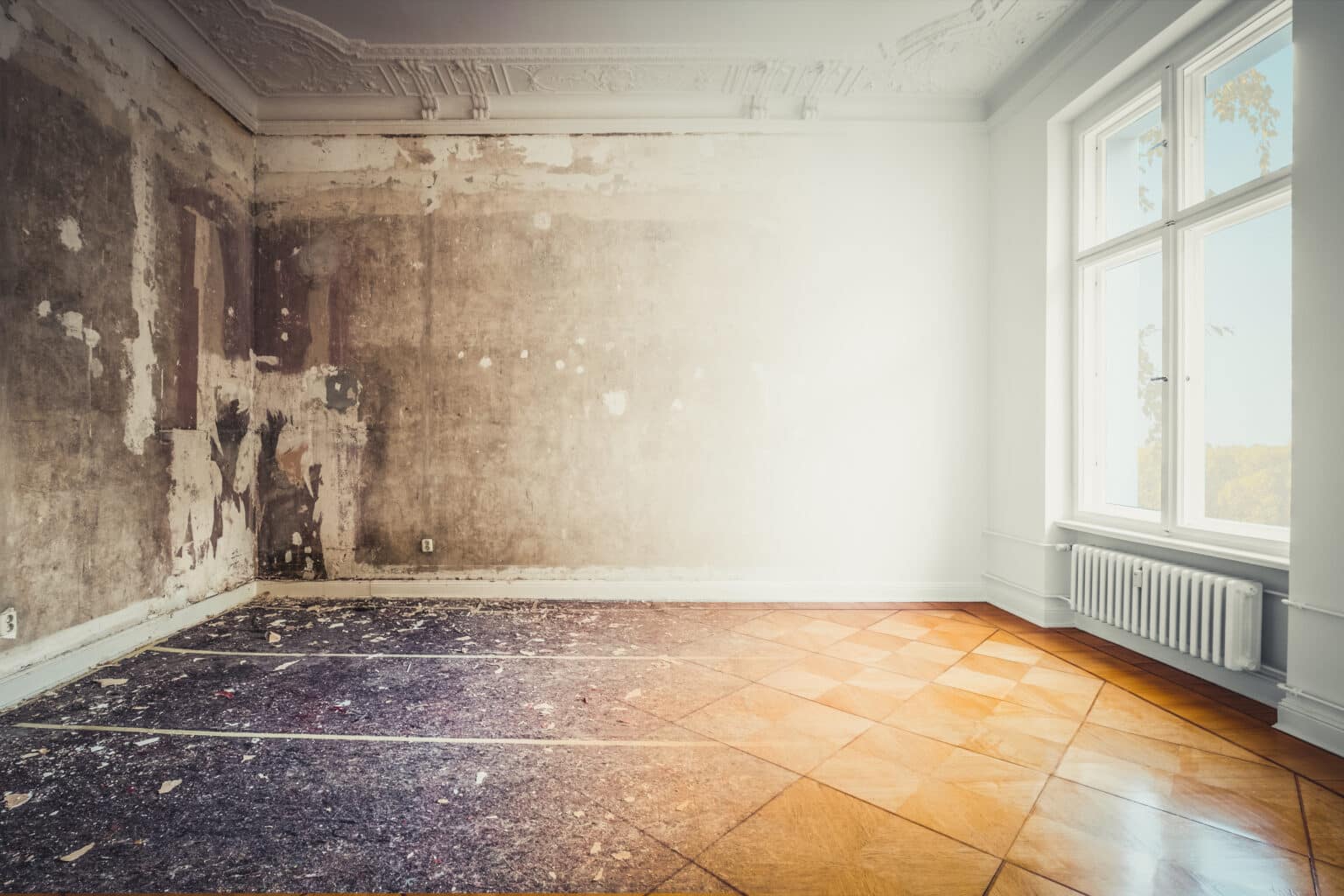 iStock-1135908234-1-1536x1024